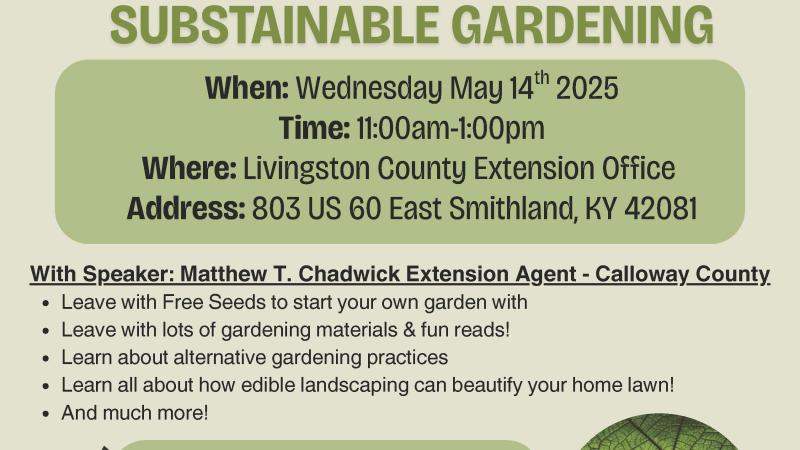 lunch and learn flyer
